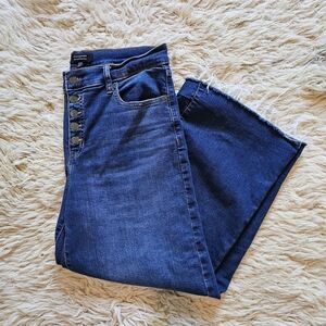 Banana Republic Wide-Leg High-Rise Cropped Jean Button Fly 30R